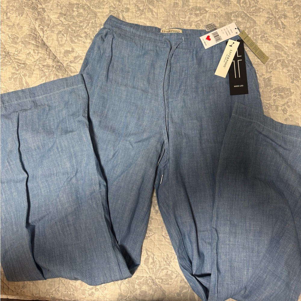 Light Blue Wide-Leg Pants